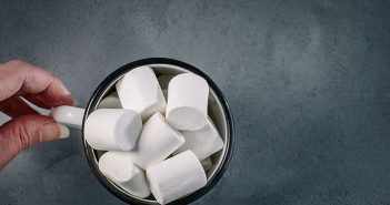 Marshmallow’s and It’s Relationship to Successful People